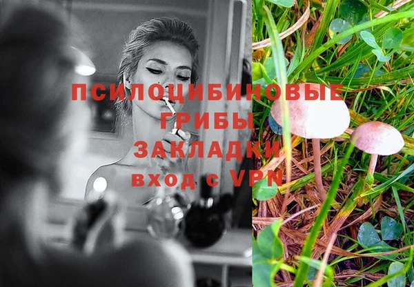 mdpv Белокуриха