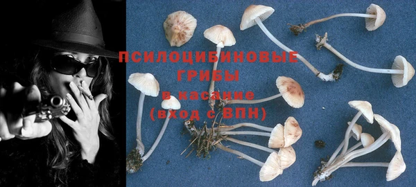 кокс Беломорск