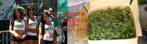 mdpv Белокуриха